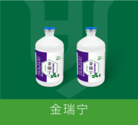 金瑞宁