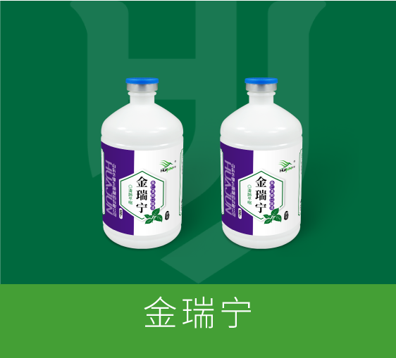 金瑞宁