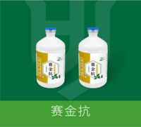 赛金抗