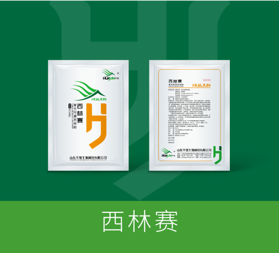 西林赛
