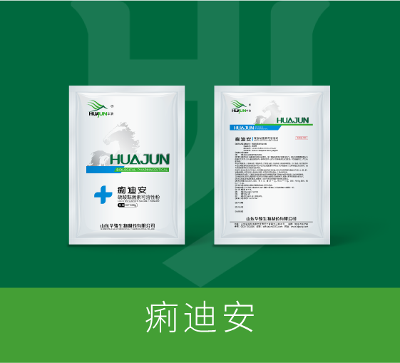 痢迪安
