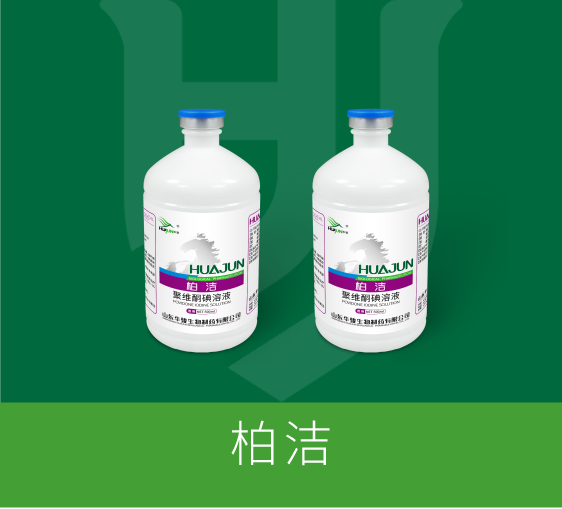 柏洁